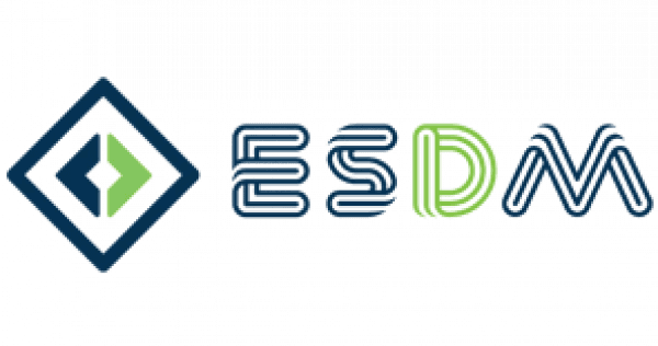 ESDM - copie